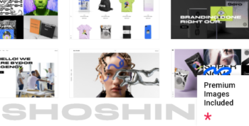 Shoshin - Digital Agency WordPress Theme