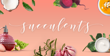 Succulents - Healthy Lifestyle and Wellness WordPress Theme
