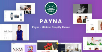 Payna – Clean, Minimal Shopify Theme